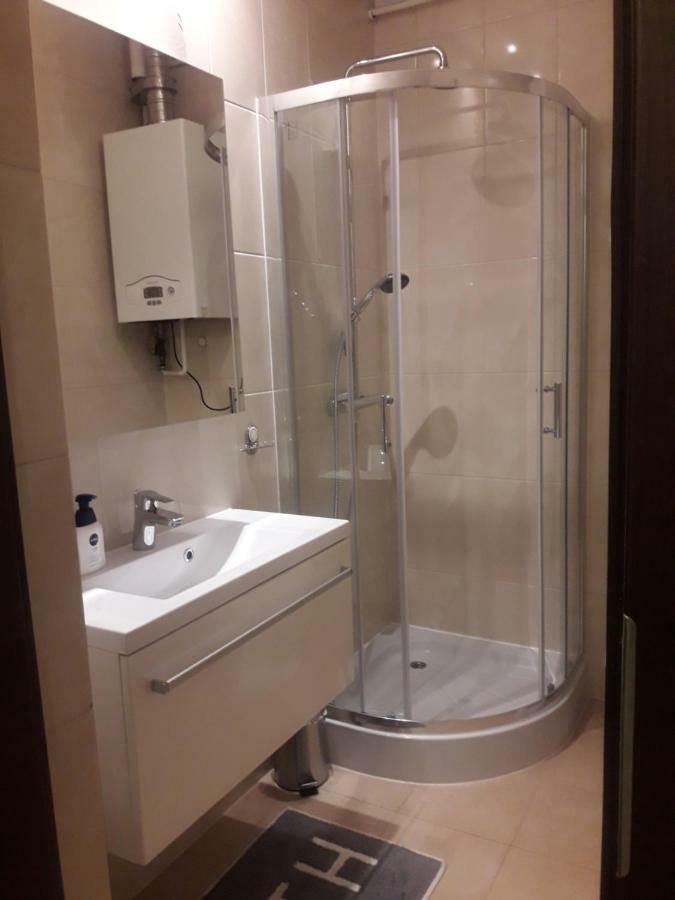 פוזנן Apartament City Center מראה חיצוני תמונה