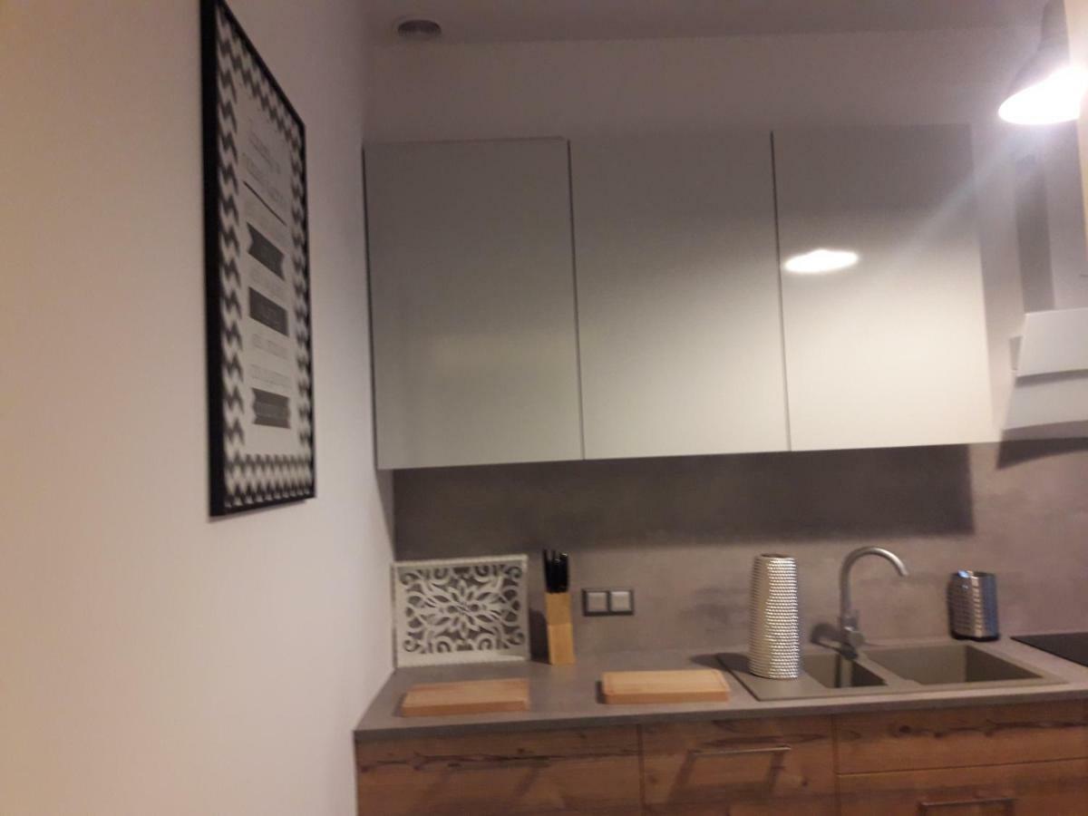 פוזנן Apartament City Center מראה חיצוני תמונה