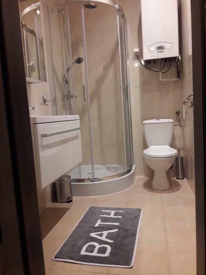 פוזנן Apartament City Center מראה חיצוני תמונה