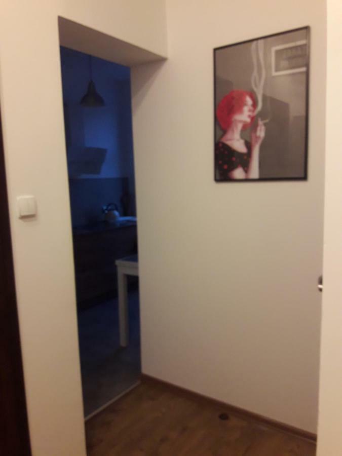 פוזנן Apartament City Center מראה חיצוני תמונה